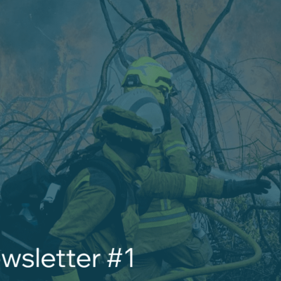 Untitled design (54)